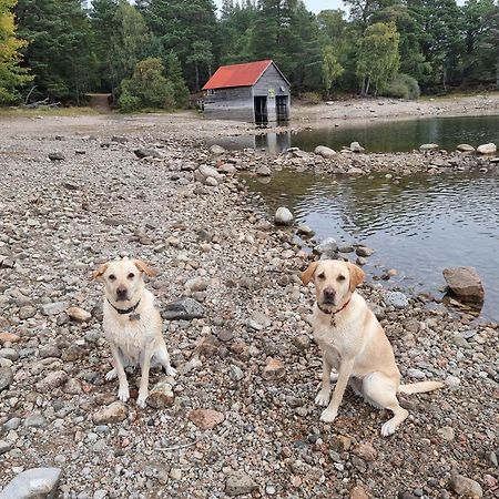 The Shelter Stone Cottage Aviemore Zewnętrze zdjęcie