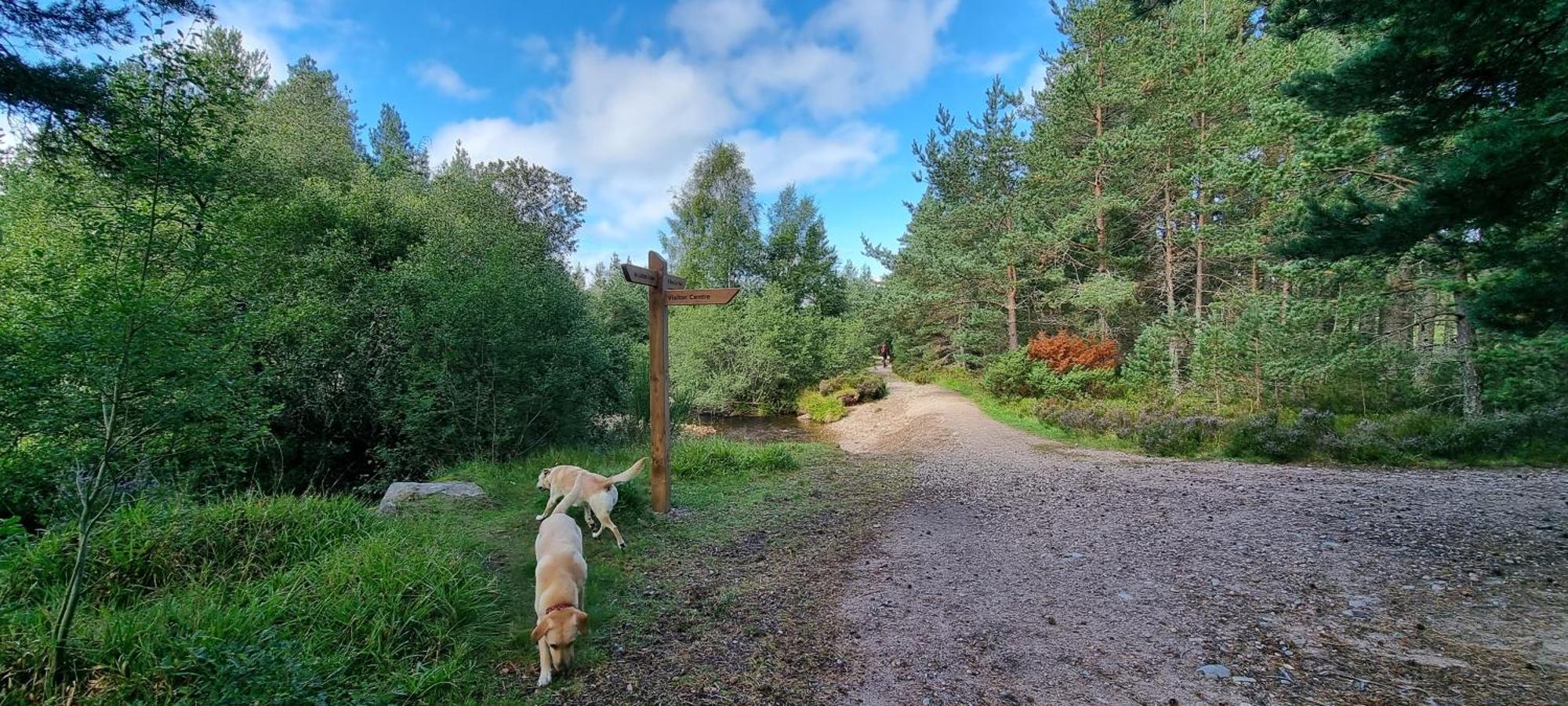 The Shelter Stone Cottage Aviemore Zewnętrze zdjęcie